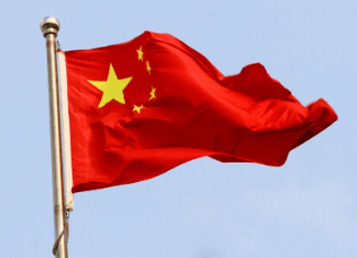 植物大战僵尸19